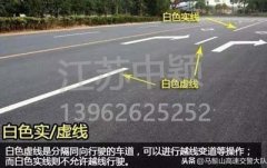 道路交通標(biāo)線圖文講解，僅花1分鐘讓你快速看懂，再也不會被違章扣分
